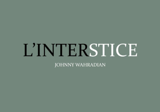 221 610 WAHRADIAN Johnny Site web