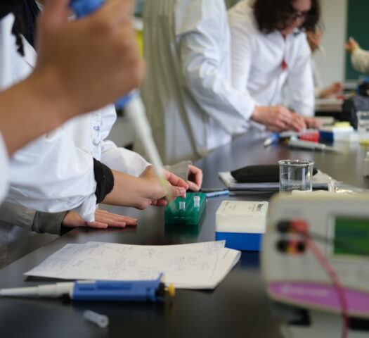 Recherche et innovation
